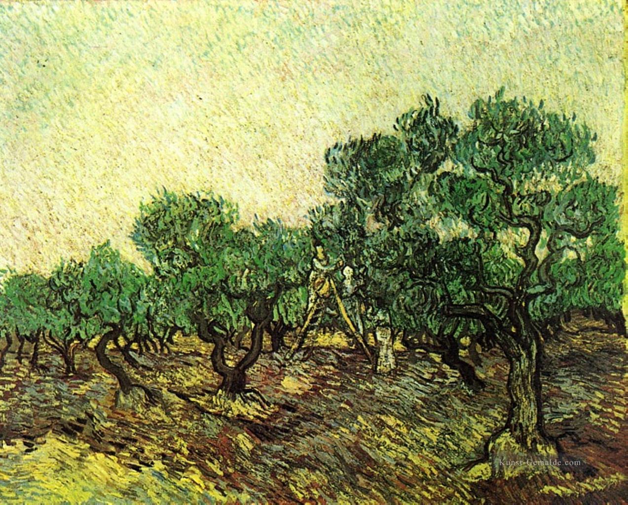 Olive Picking 2 Vincent van Gogh Ölgemälde